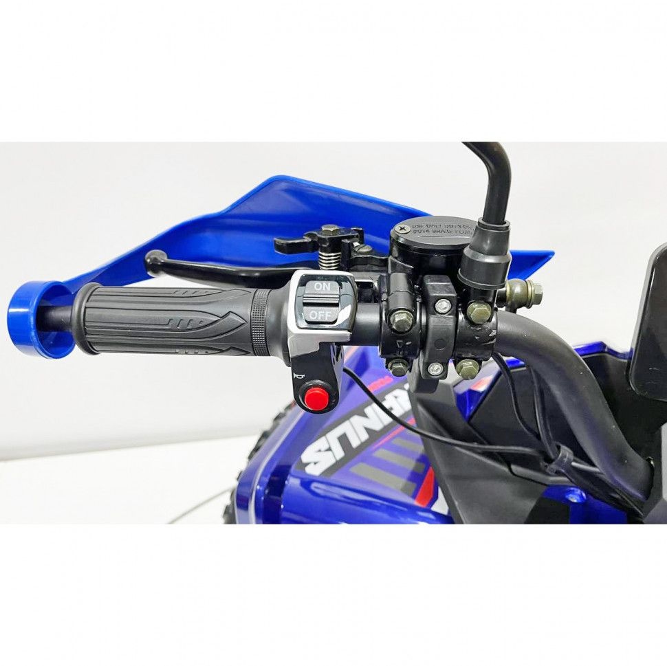 Электрический квадроцикл GreenCamel Атакама T630 (72V 1500W R8)