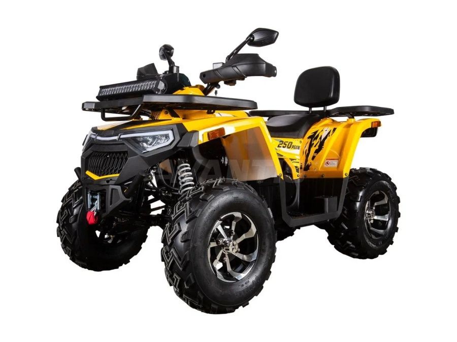 Квадроцикл H250 BIG NEW Premium (баланс вал)