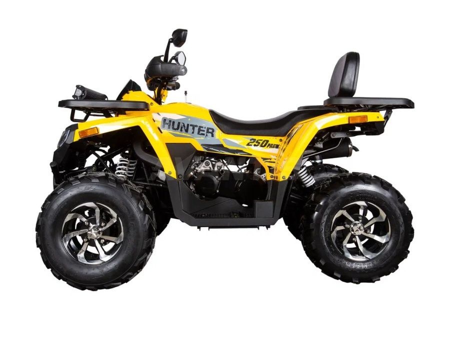 Квадроцикл H250 BIG NEW Premium (баланс вал)