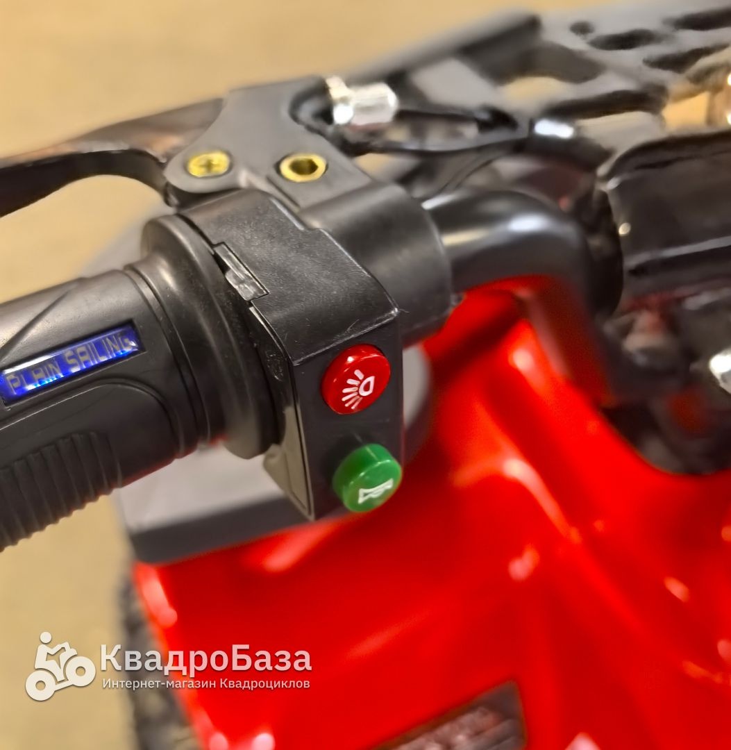 Детский электроквадроцикл GreenCamel Гоби K24 (36V 800W R6 Цепь)