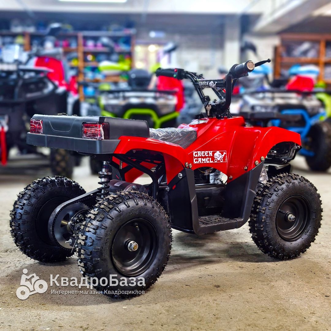 Детский электроквадроцикл GreenCamel Гоби K24 (36V 800W R6 Цепь)