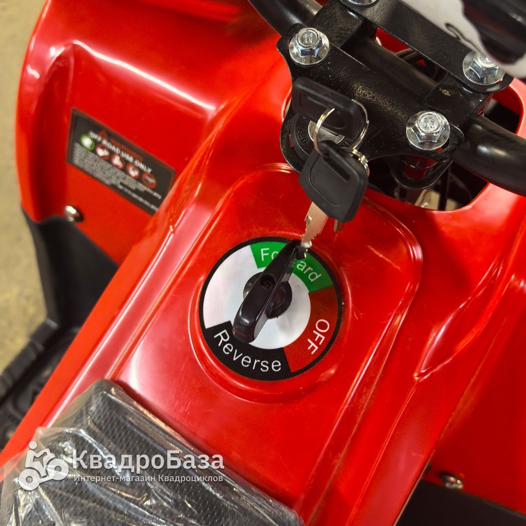 Детский электроквадроцикл GreenCamel Гоби K24 (36V 800W R6 Цепь)