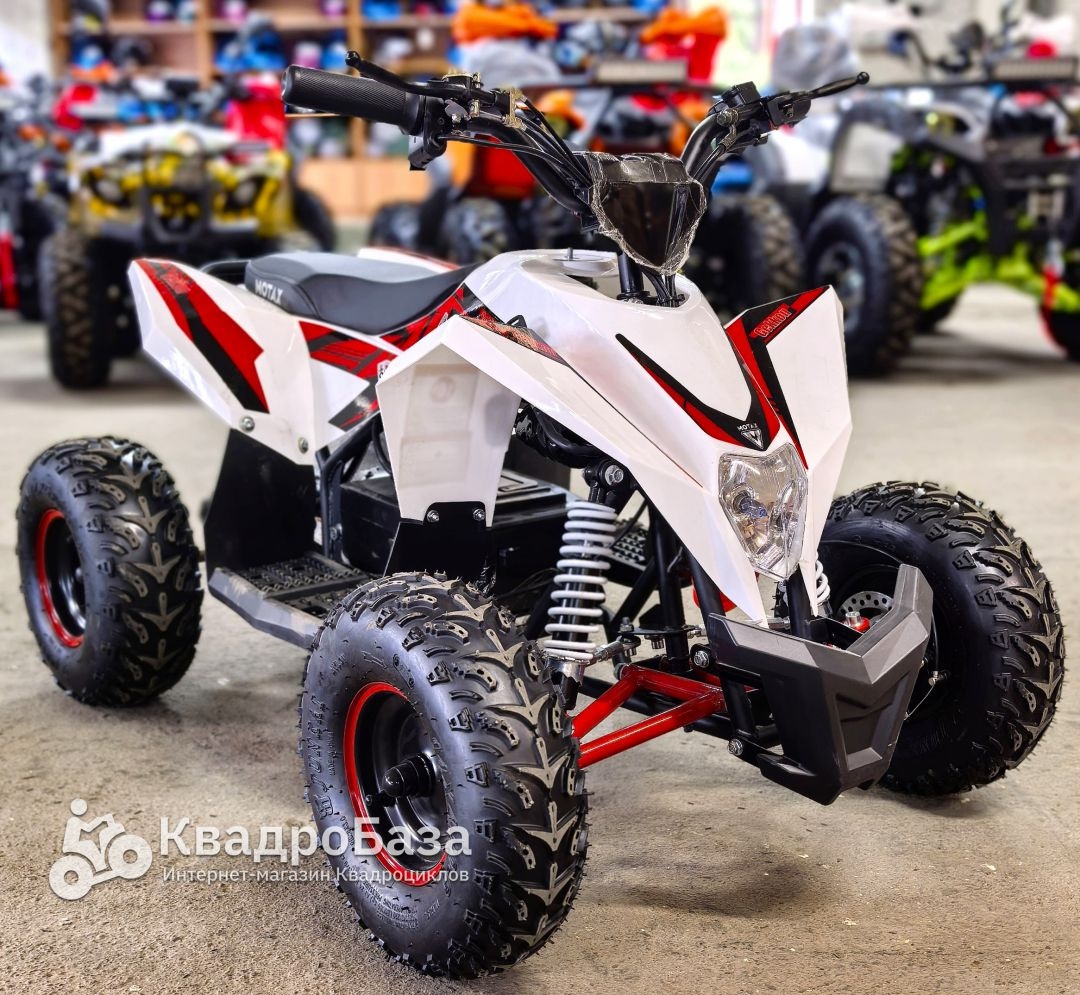 Детский электроквадроцикл Motax Gekkon 1300W