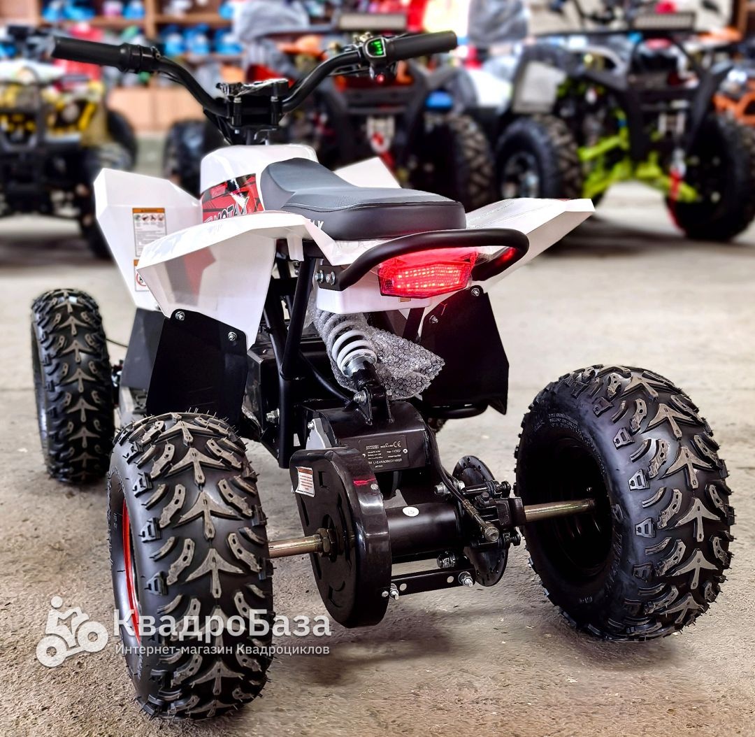Детский электроквадроцикл Motax Gekkon 1300W