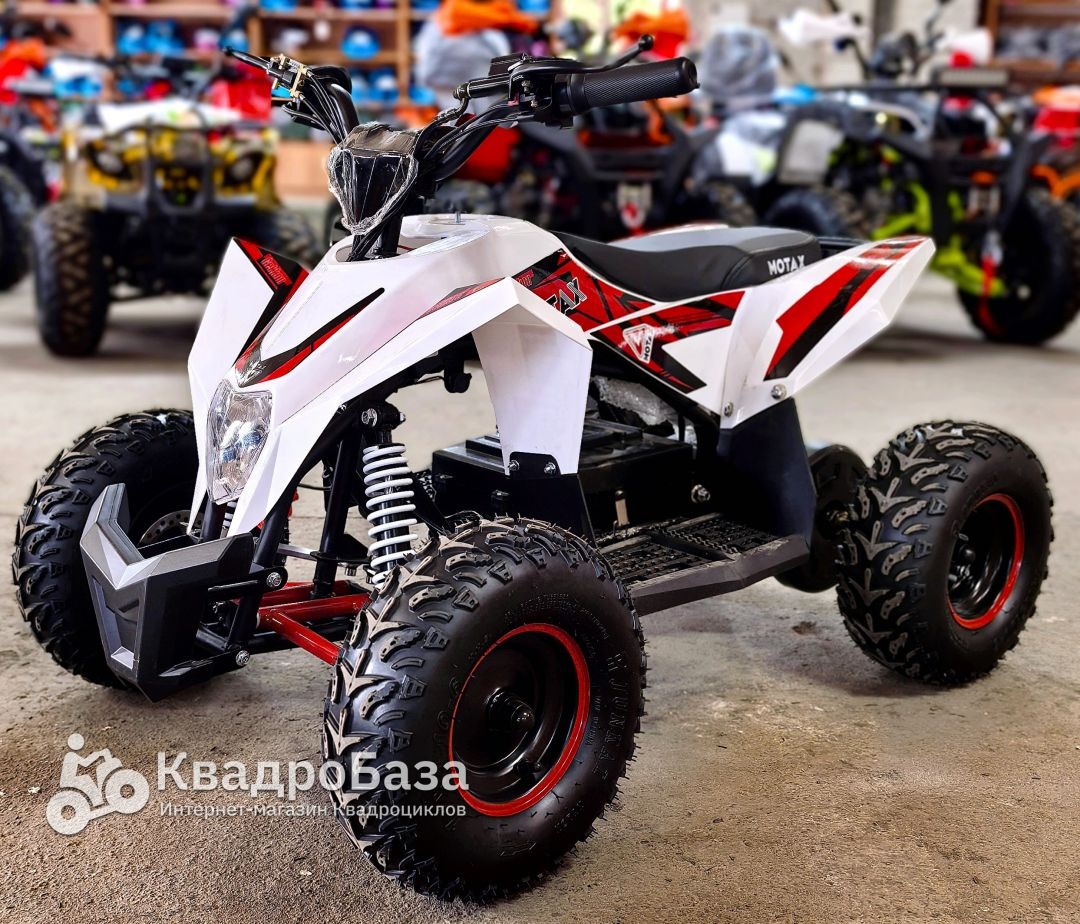 Детский электроквадроцикл Motax Gekkon 1300W