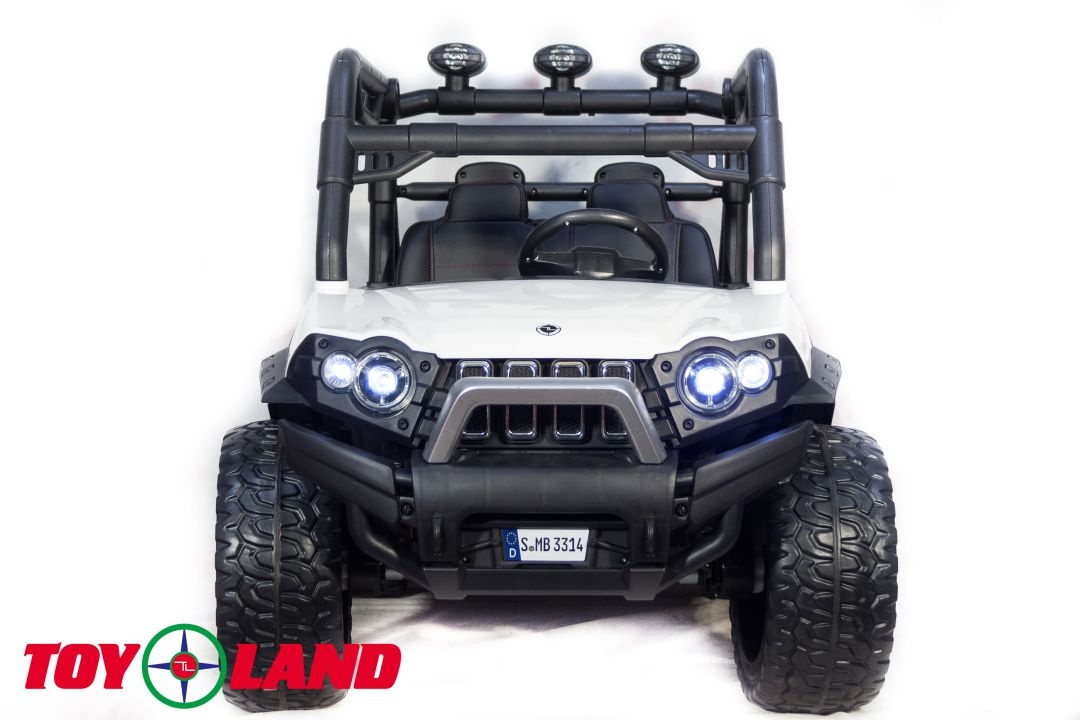 ЭЛЕКТРИЧЕСКИЙ БАГГИ 3314 (DLS02A)