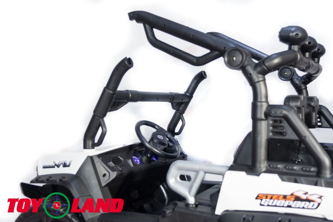 ЭЛЕКТРИЧЕСКИЙ БАГГИ 3314 (DLS02A)