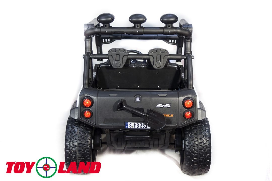 ЭЛЕКТРИЧЕСКИЙ БАГГИ 3314 (DLS02A)