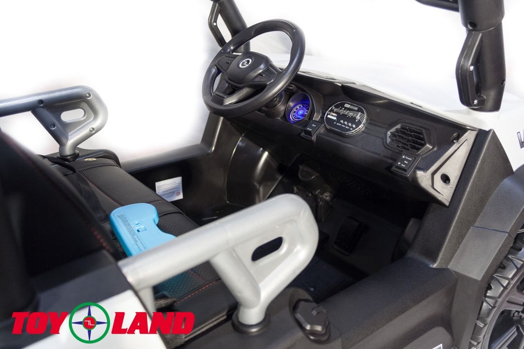 ЭЛЕКТРИЧЕСКИЙ БАГГИ 3314 (DLS02A)