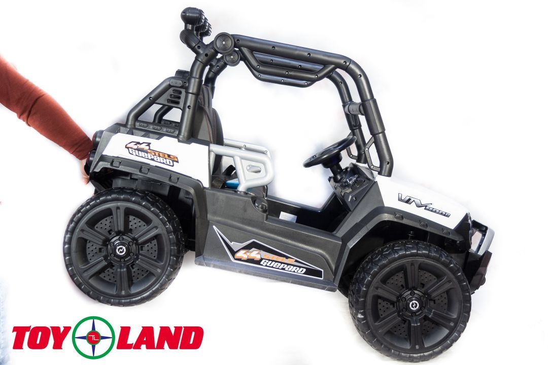 ЭЛЕКТРИЧЕСКИЙ БАГГИ 3314 (DLS02A)