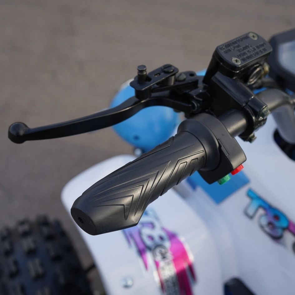 Электрический квадроцикл ECO Monster TRUCK 1500W