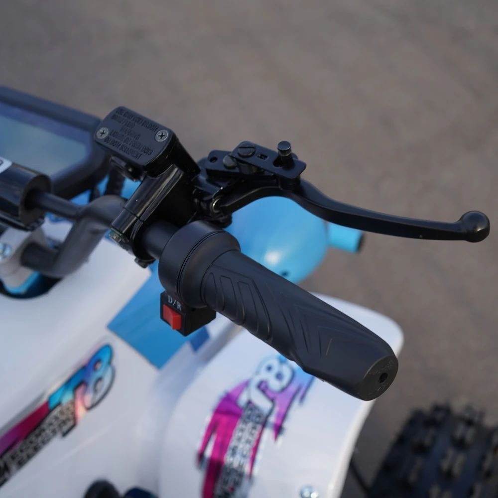 Электрический квадроцикл ECO Monster TRUCK 1500W