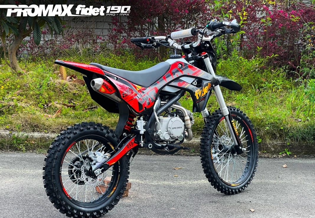 Питбайк PROMAX FIDET (ФАЙДЕТ) 190E MAX PRO LUX 19/16