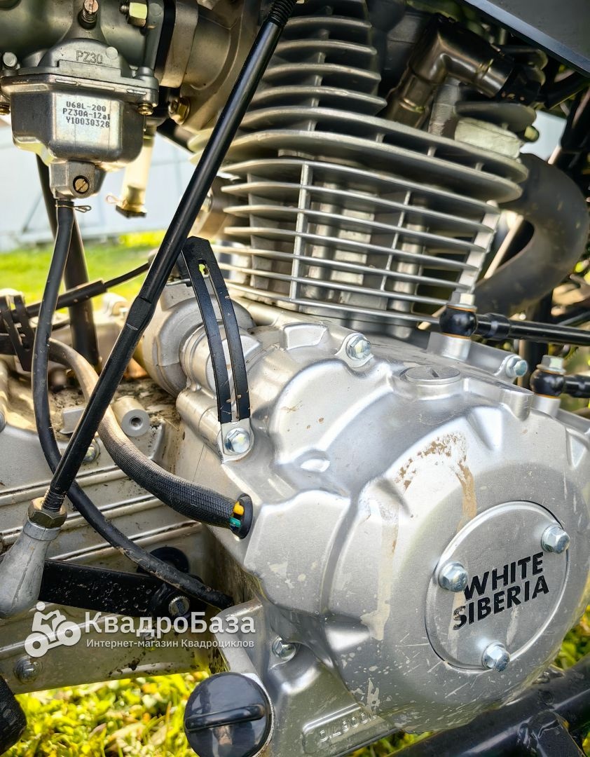 Бензиновый квадроцикл WHITE SIBERIA BARS 320