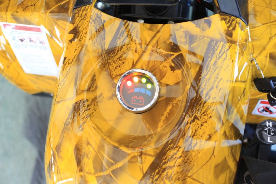 Детский электроквадроцикл GreenCamel Атакама T240