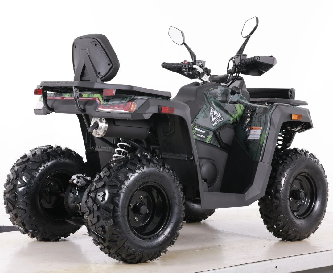 Квадроцикл бензиновый MOTAX GRIZLIK T250 BASIC