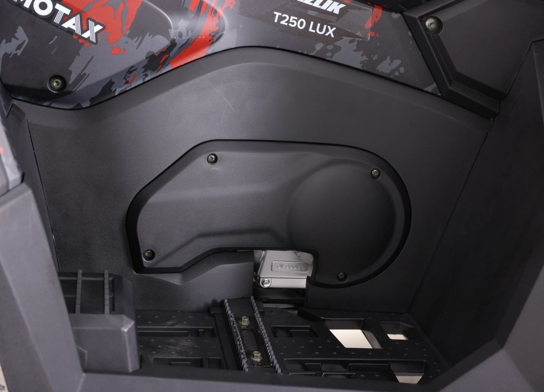 Квадроцикл бензиновый MOTAX GRIZLIK T250 PRO