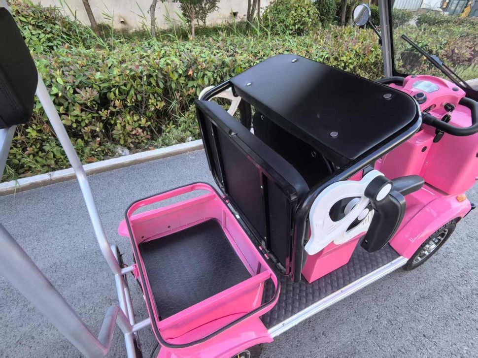 Гольфкар GreenCamel Сонора A3 ECO (3 seats 1000W R8)