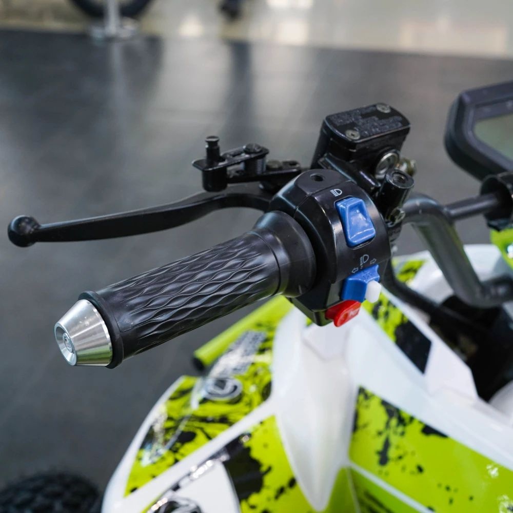 Электрический квадроцикл ECO SUFA Sport PRO 3000W