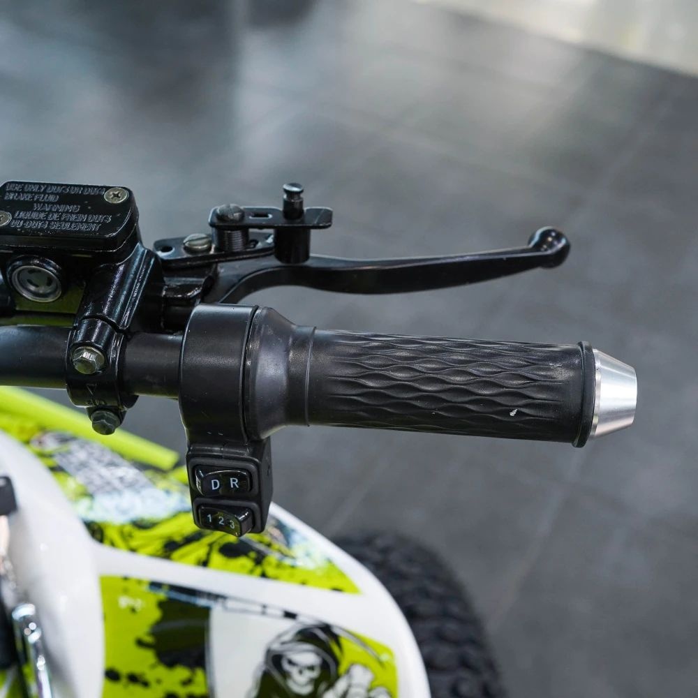 Электрический квадроцикл ECO SUFA Sport PRO 3000W