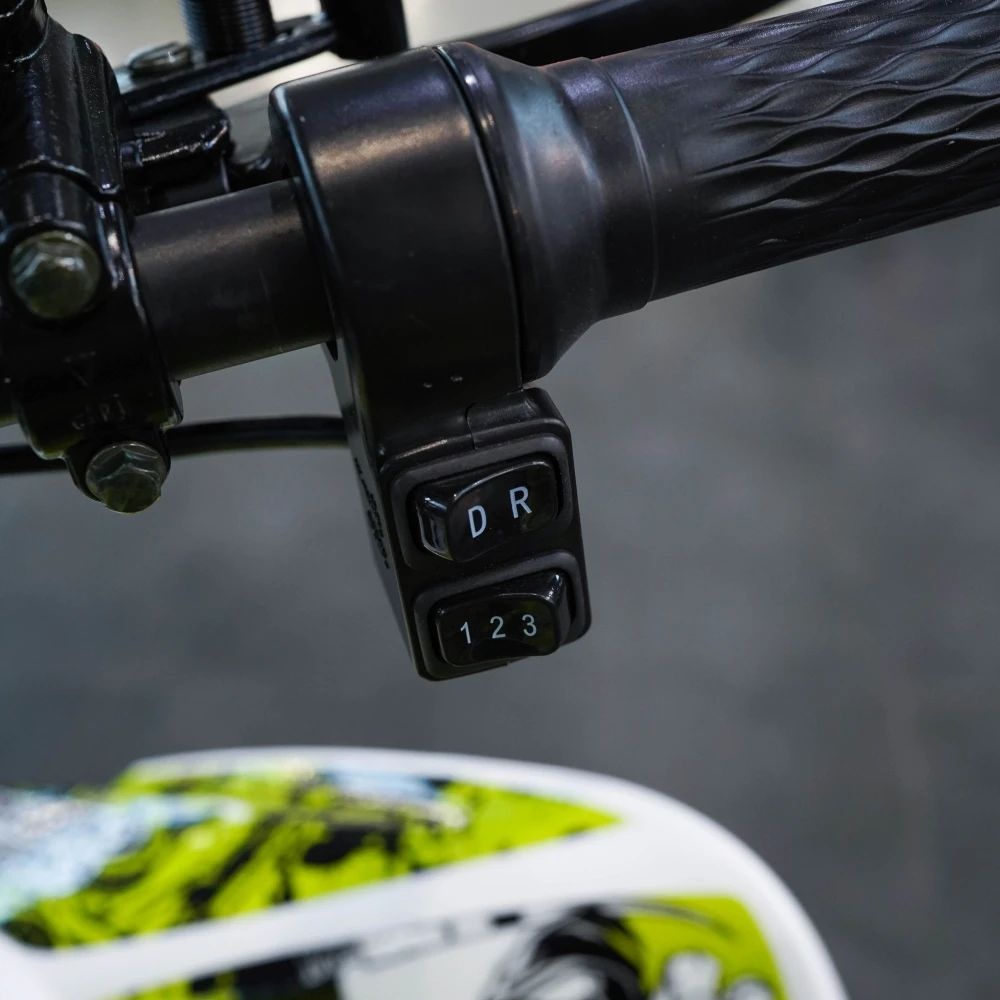 Электрический квадроцикл ECO SUFA Sport PRO 3000W