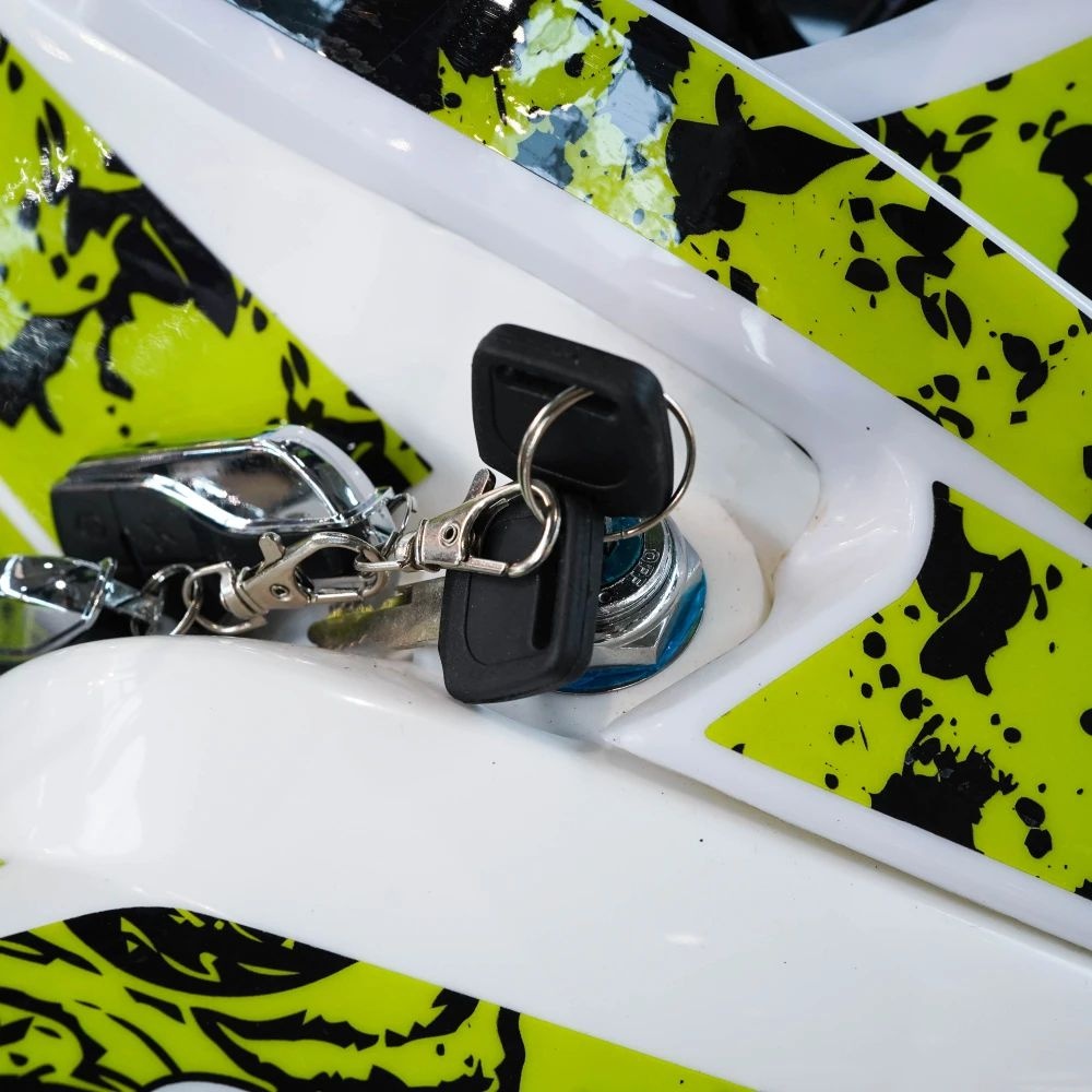 Электрический квадроцикл ECO SUFA Sport PRO 3000W