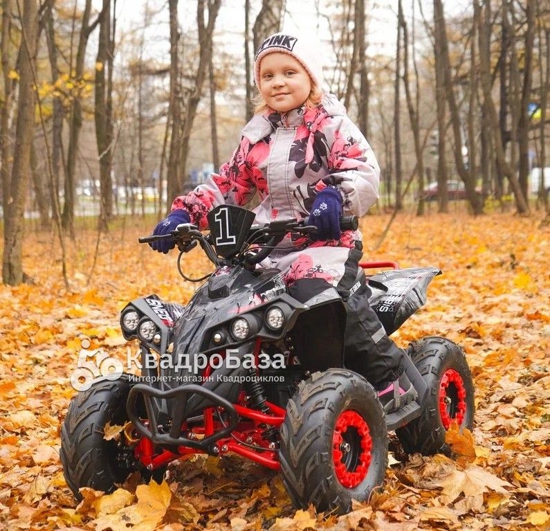 Электрический квадроцикл WHITE SIBERIA SNEG R 1500W