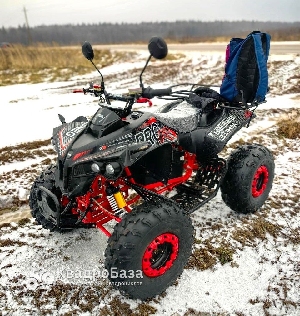 Электроквадроцикл WHITE SIBERIA SNEG PRO R 3000W