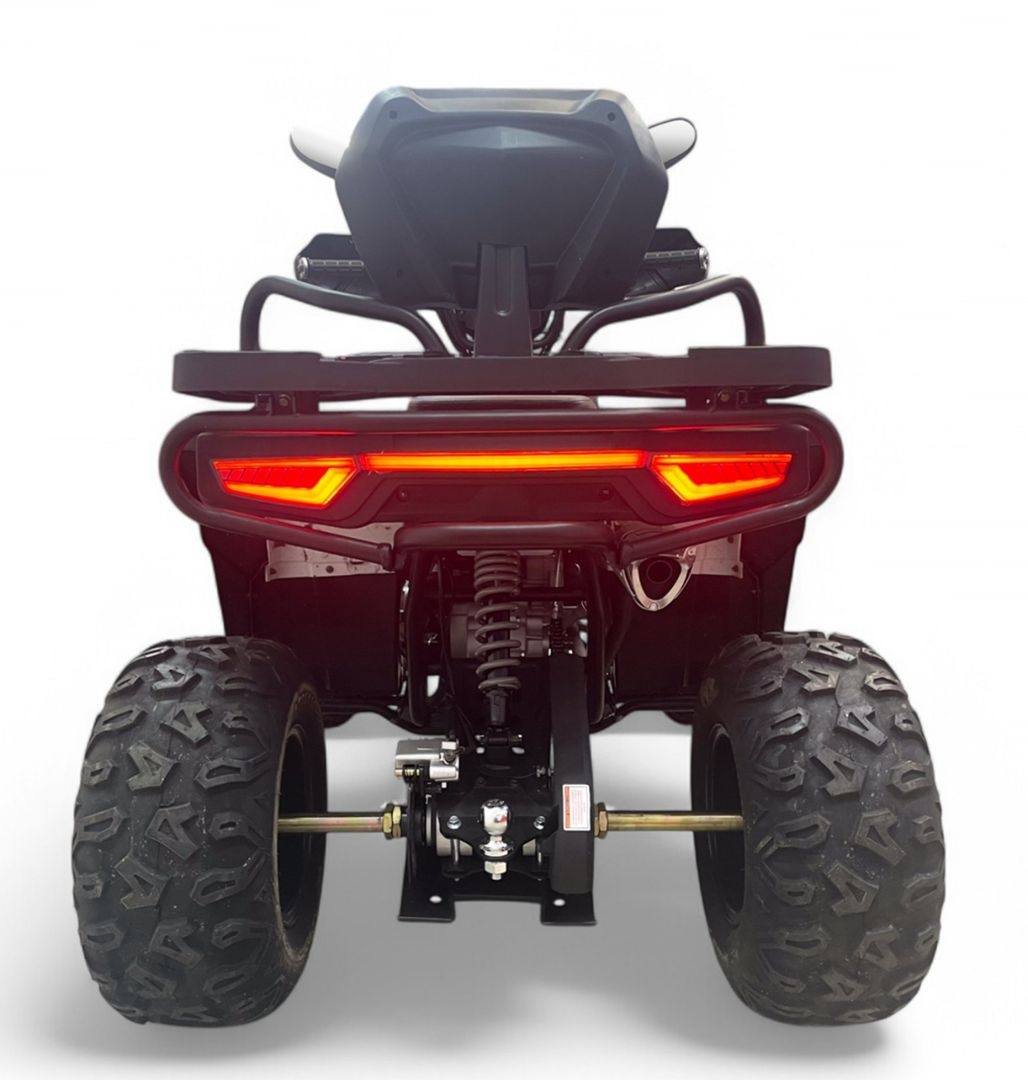 Квадроцикл MOTAX GRIZLIK W200 LUX