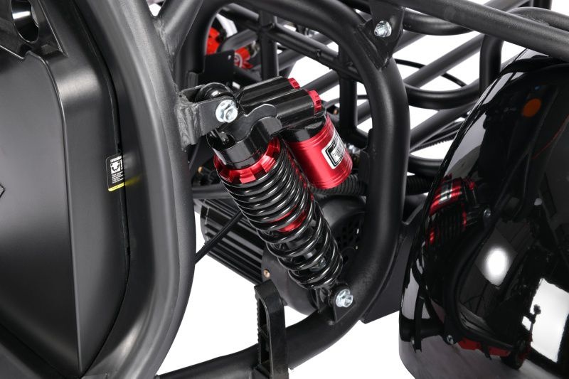 Электротрицикл WHITE SIBERIA PRO TRIKE 3000W