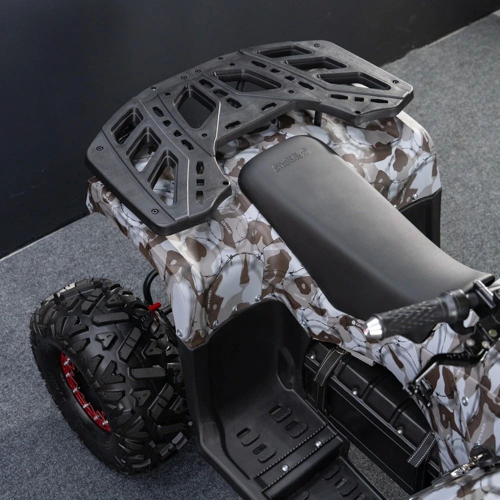 Электрический квадроцикл ECO BUGATTI 2000W