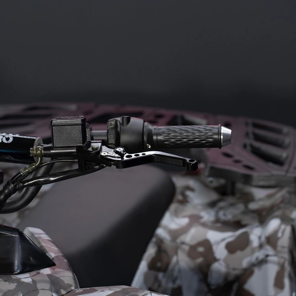 Электрический квадроцикл ECO BUGATTI 2000W