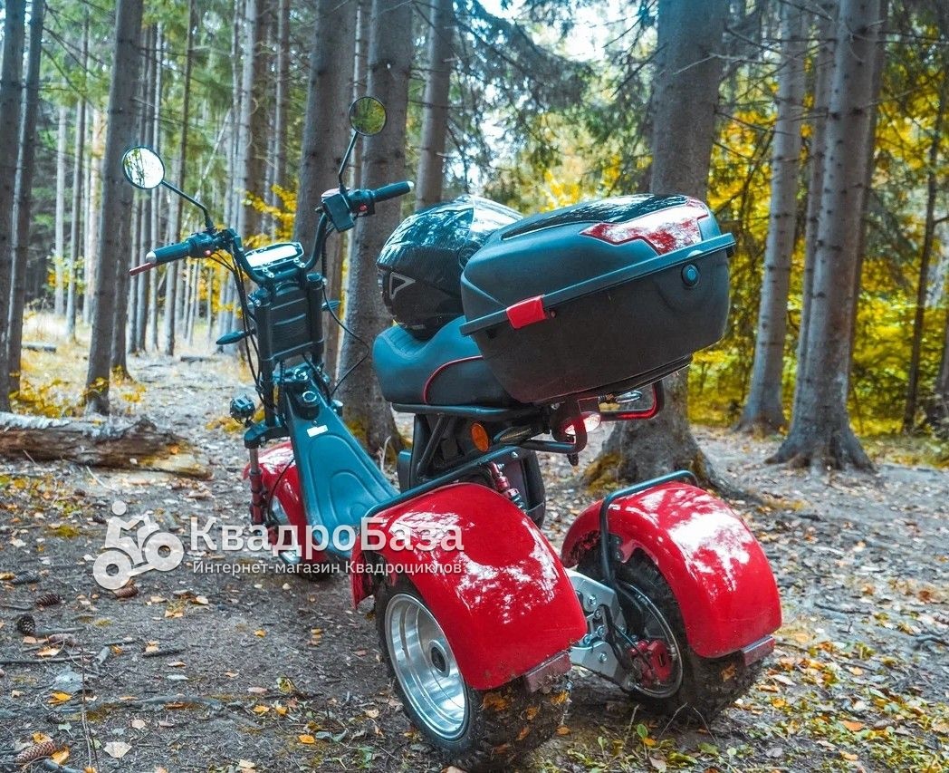Электротрицикл WHITE SIBERIA IKRA 5000W