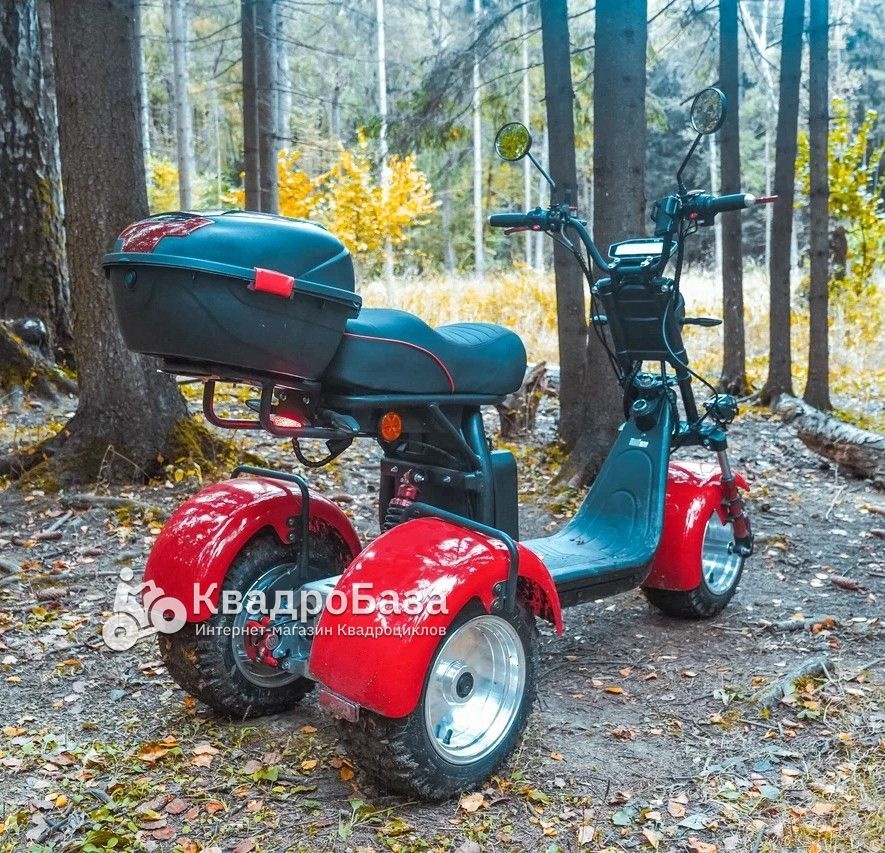 Электротрицикл WHITE SIBERIA IKRA 5000W