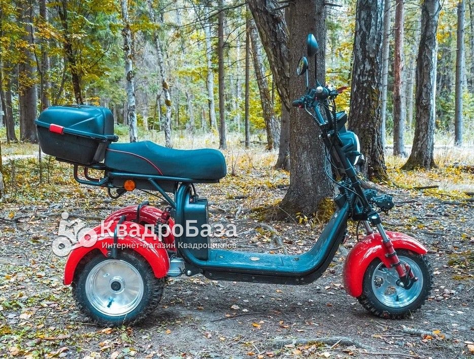 Электротрицикл WHITE SIBERIA IKRA 5000W