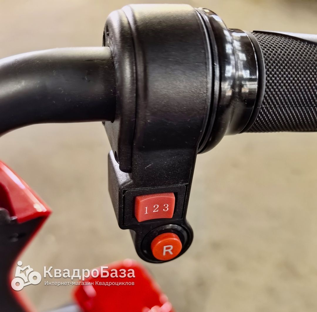 Трицикл GreenCamel Кольт 550 (36V 15Ah 2x250W) автомат