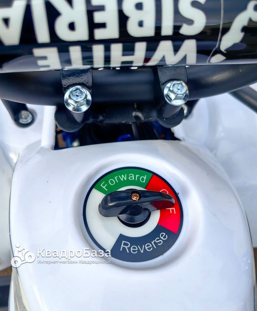 Электрический квадроцикл WHITE SIBERIA SNEG MINI