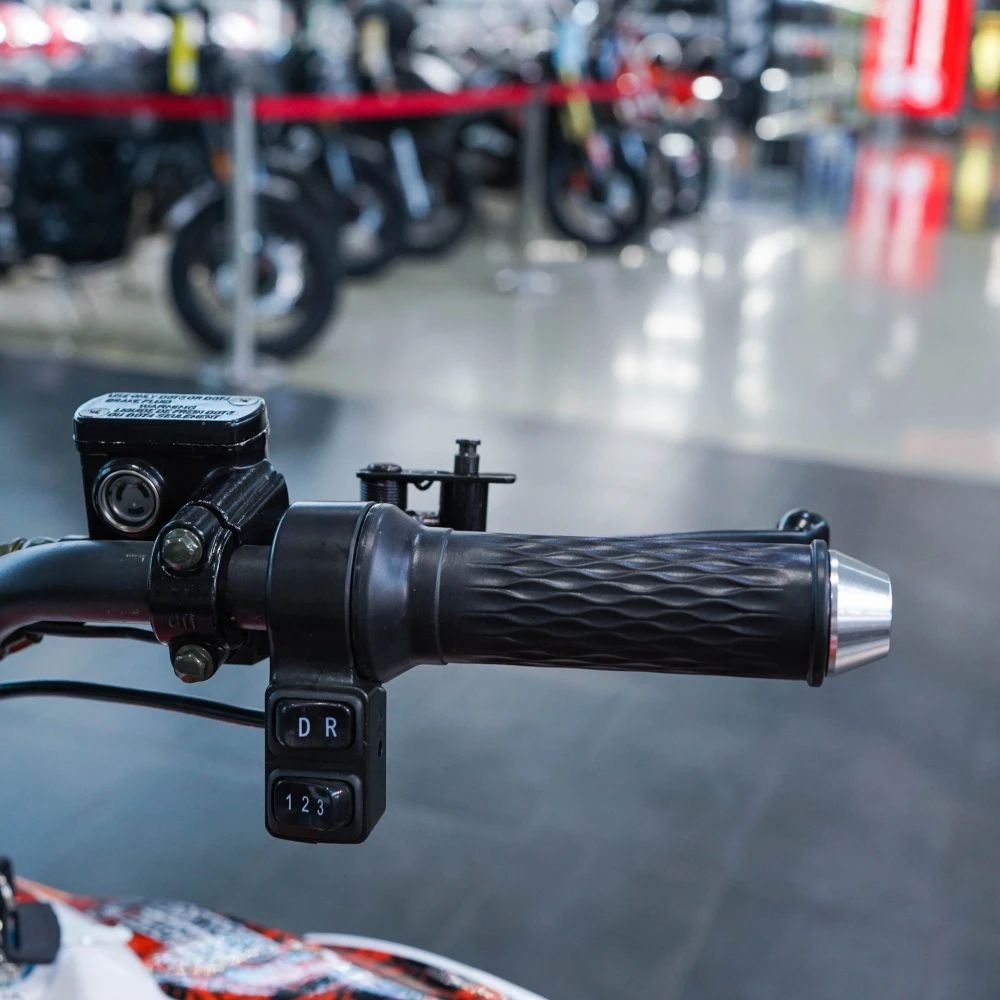 Электрический квадроцикл ECO SUFA Sport 3000W