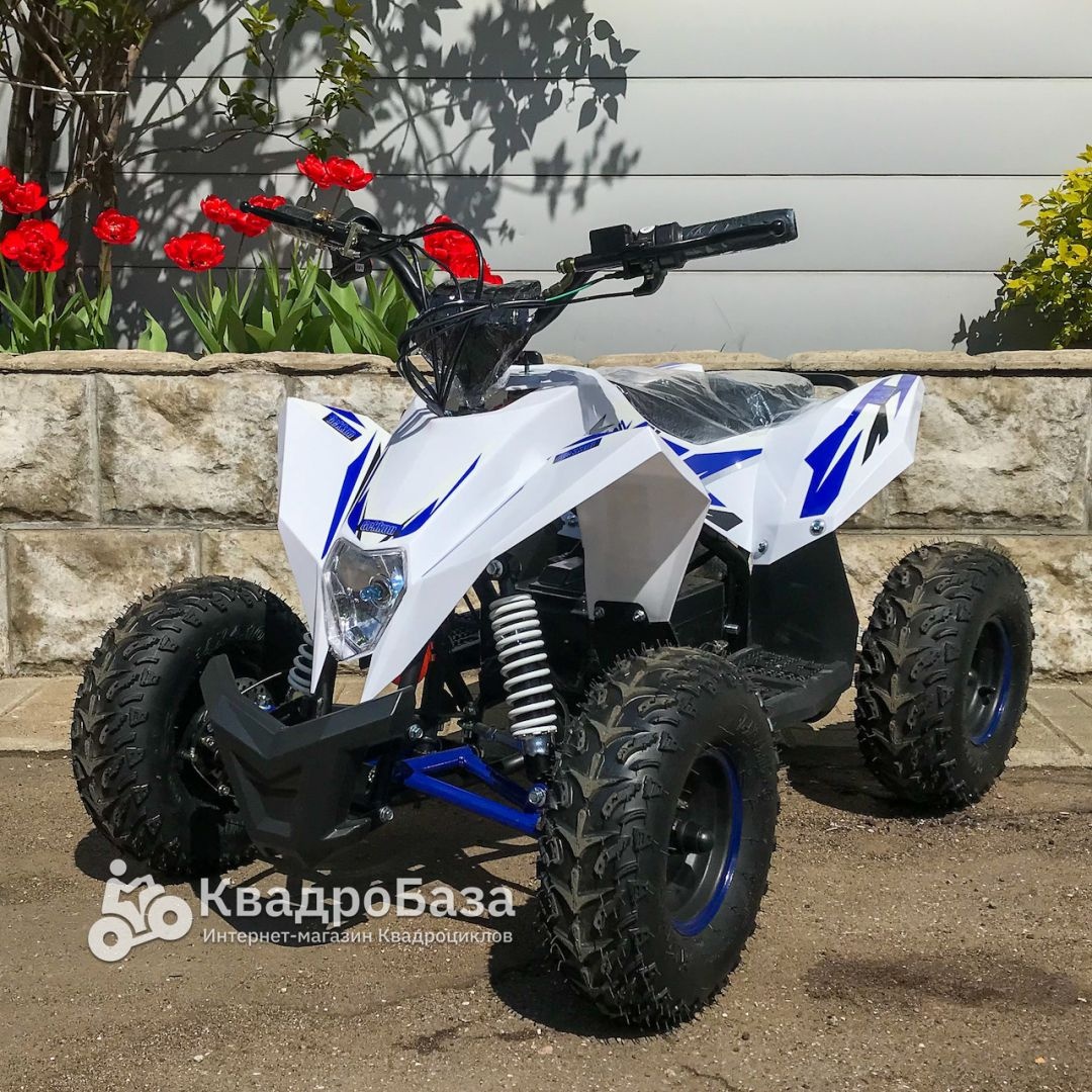 Детский электроквадроцикл Motax Gekkon 1300W