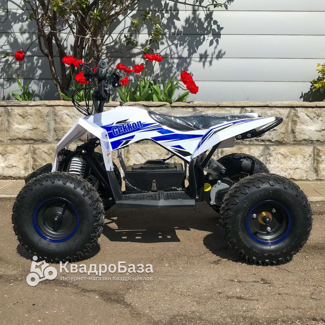 Детский электроквадроцикл Motax Gekkon 1300W