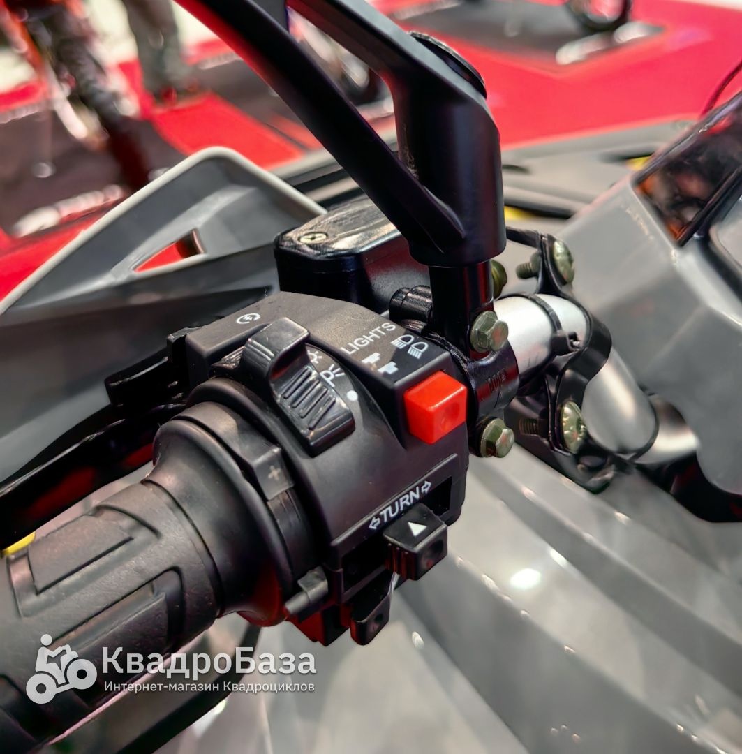 Квадроцикл YACOTA VIKING LONG 250 PRO