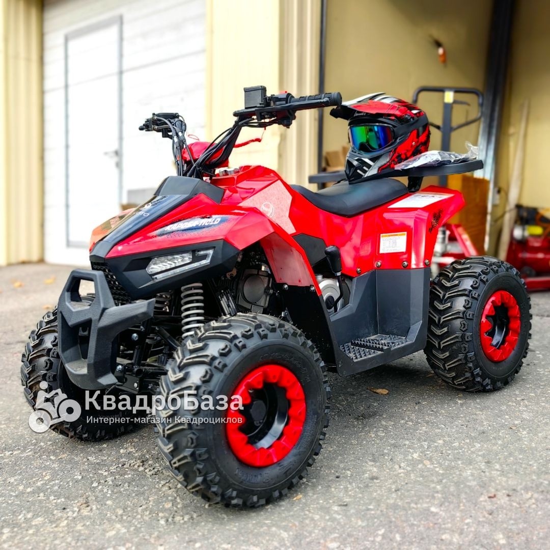 Детский бензиновый квадроцикл Yacota Raposa