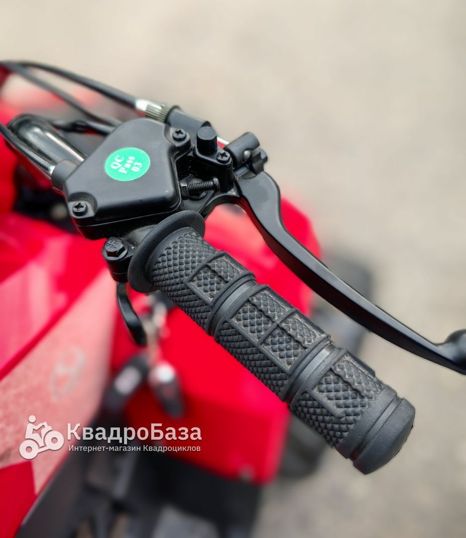 Детский бензиновый квадроцикл Yacota Raposa