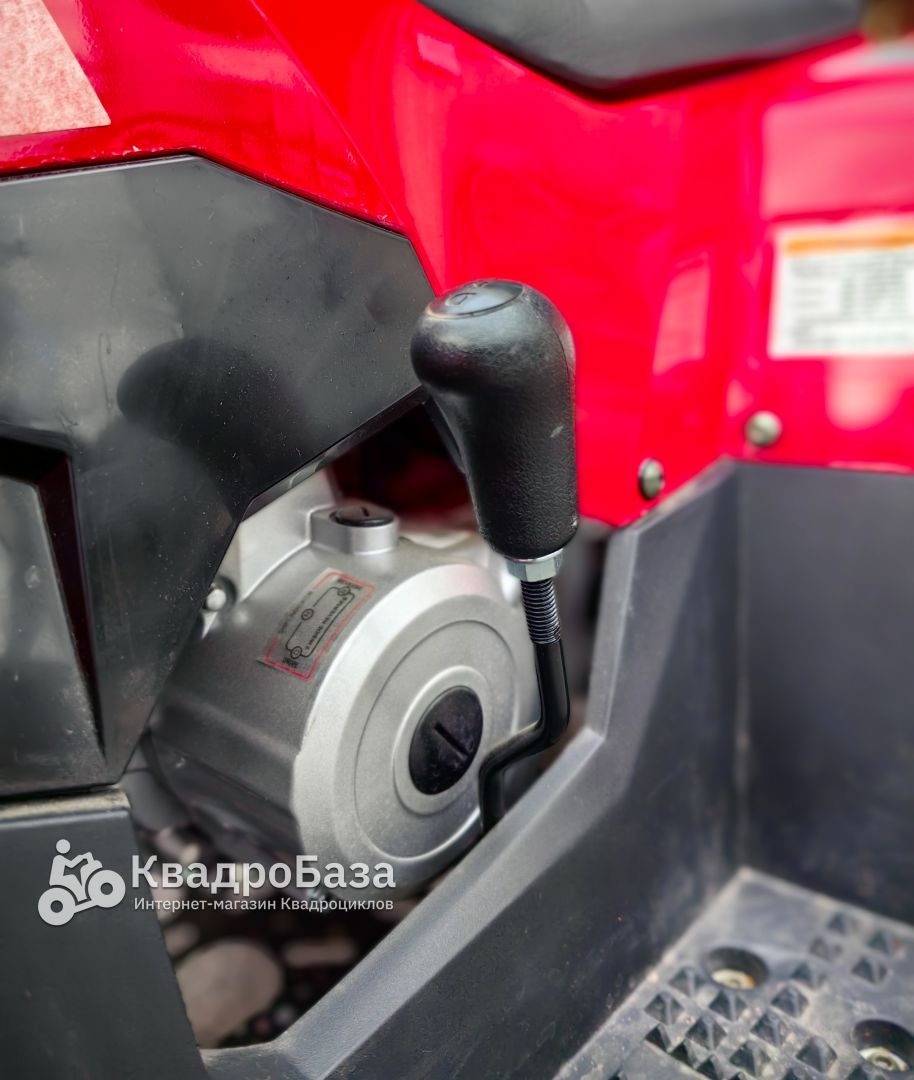 Детский бензиновый квадроцикл Yacota Raposa