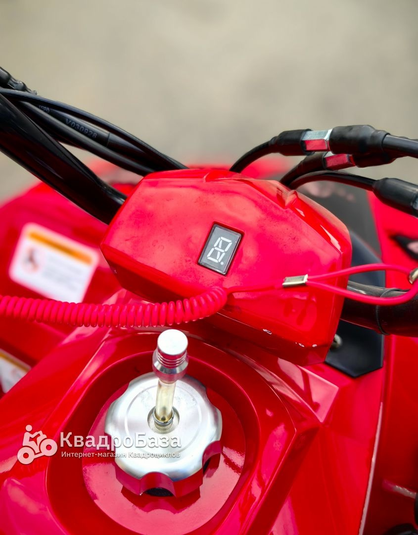 Детский бензиновый квадроцикл Yacota Raposa