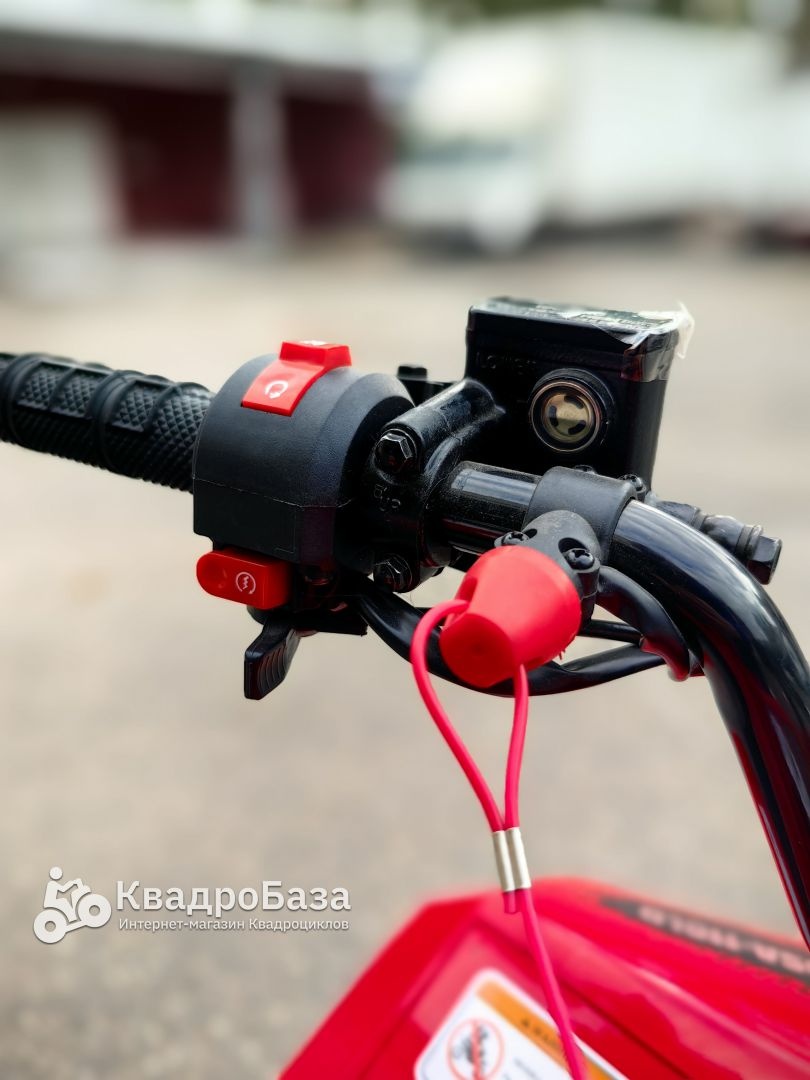 Детский бензиновый квадроцикл Yacota Raposa