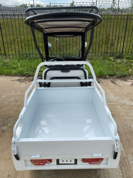 Гольфкар GreenCamel A2P