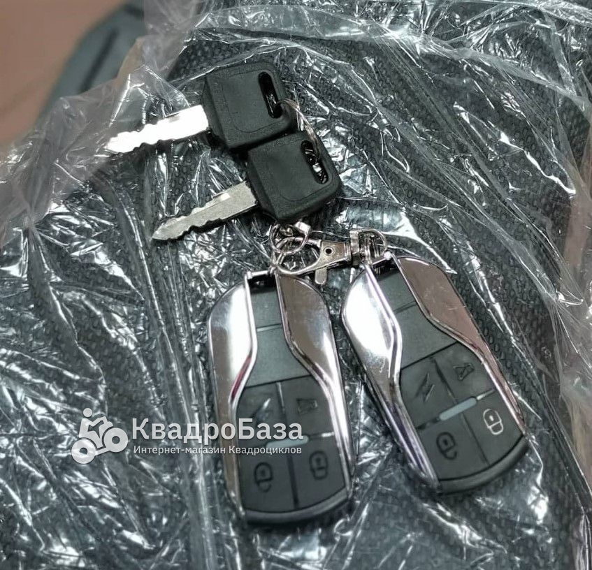 Детский электрический квадроцикл ATV Classic E 800W