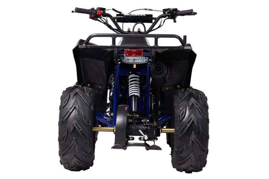 Квадроцикл Wels Evo M