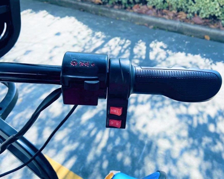 Электротрицикл грузовой GreenCamel Тендер 2 1000W